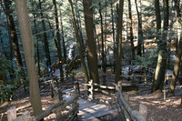 Bushkill Falls