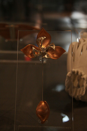 Jacqueline DeMatteo